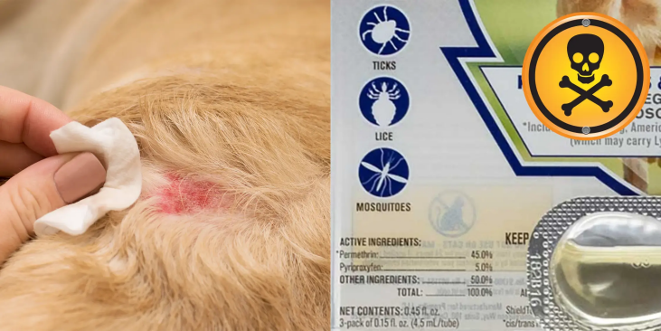 Fur Sweep Collar vs other treatments
