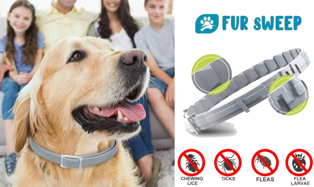 Fur Sweep Collar